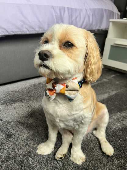 Pumpkin Dog Bow