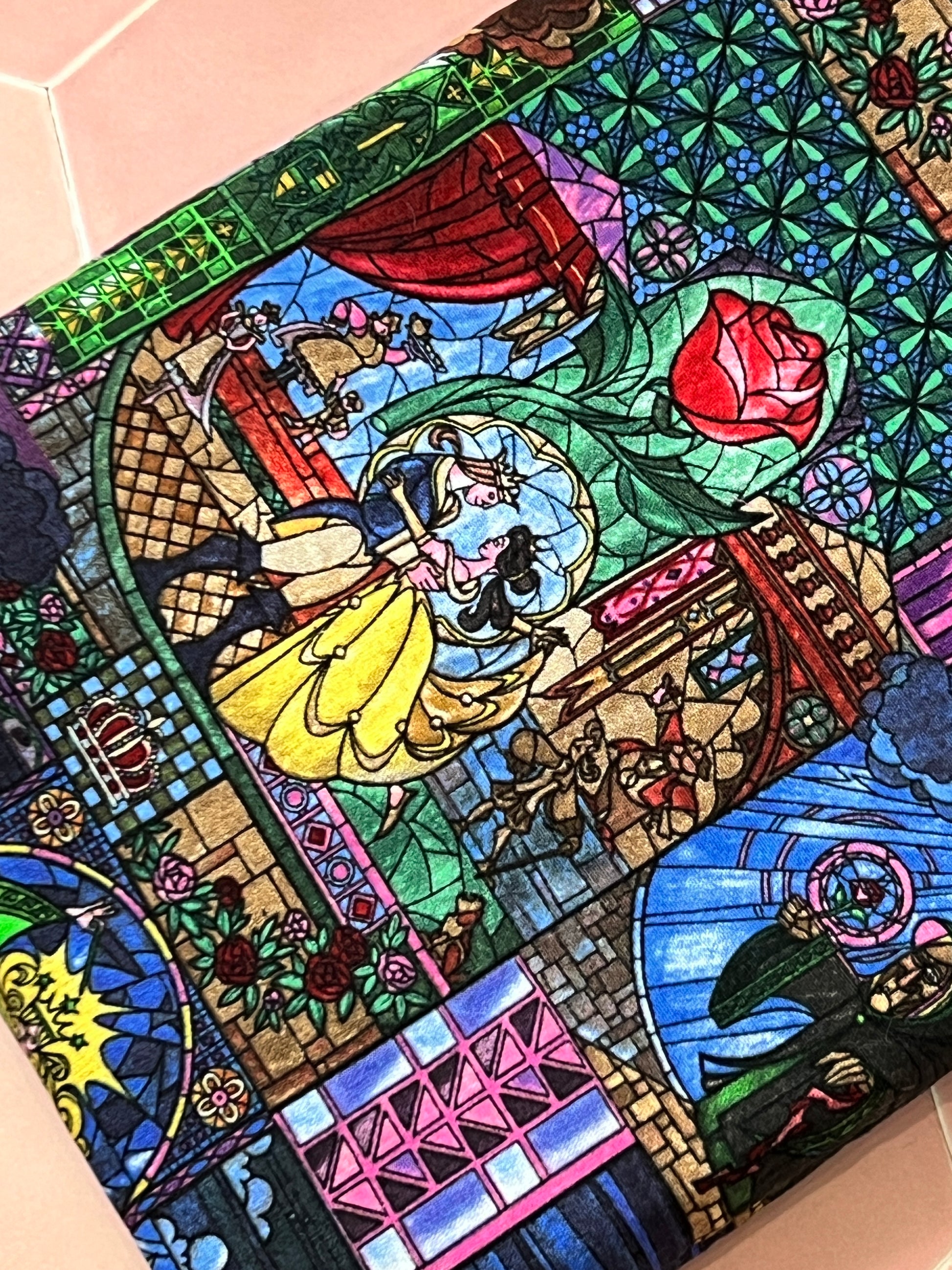 Beauty and the Beast Book Sleeve